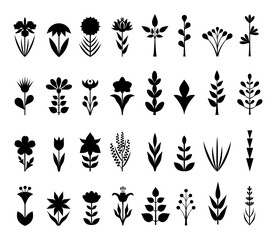 Set of silhouettes of flowers and herbs isolated on white background. Various vector elements for decoration and design. Templates for logos and stencils.