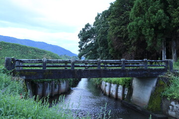 Fototapeta premium 古い石橋