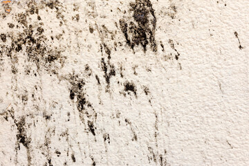 Background old cracked walls of the building for any of your design