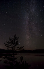 Fototapeta na wymiar View of the night sky from my campsite
