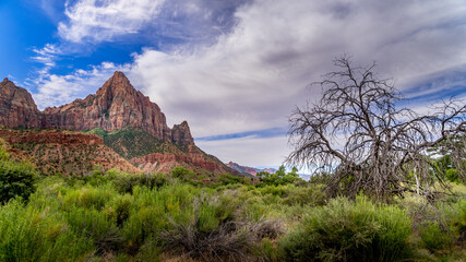 The Watchman mountain viewed from the Pa'rus Trail that meanders along and over the Virgin River in Zion National Park in Utah, USA