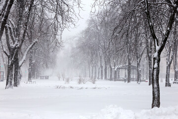 Snowfall. Urban streets and parks during a heavy snowfall in winter.