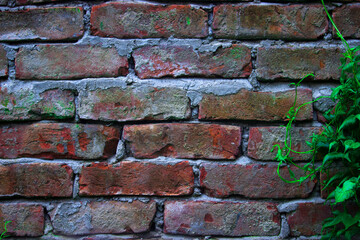 brick wall background with green