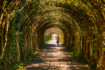 green tunnel at Mirabell Palace in Salzburg