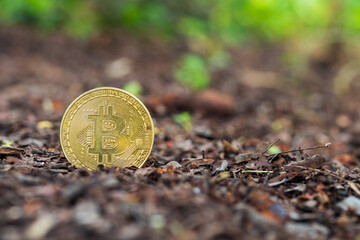 Bitcoin in the ground. Mining Golden Bitcoins concept