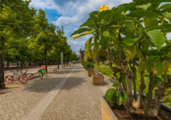 Berlin Eco Bikes And Wooden Planter Boxes © Parie Nikka Albadar