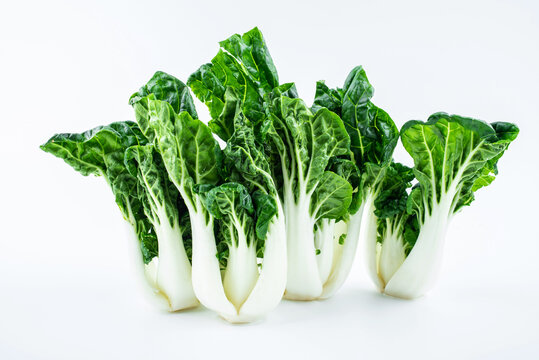 Fresh vegetable milk cabbage on white background