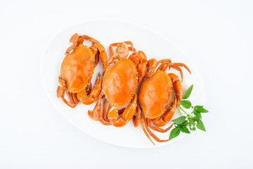 A dish of delicious steamed red sturgeon crab on white background