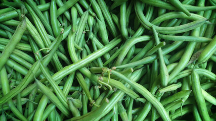 green fresh green beans
