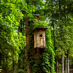 Large wooden birdhouse on a green tree