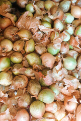 lots of fresh onions