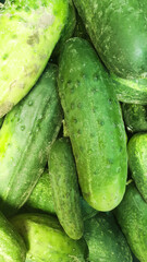 green fresh cucumbers