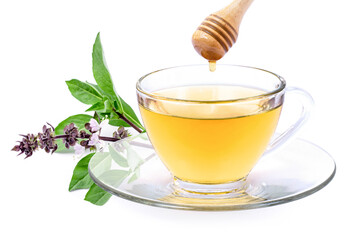 Glass cup of basil herbal tea and green basil leaf with honey dipping isolated on white background.