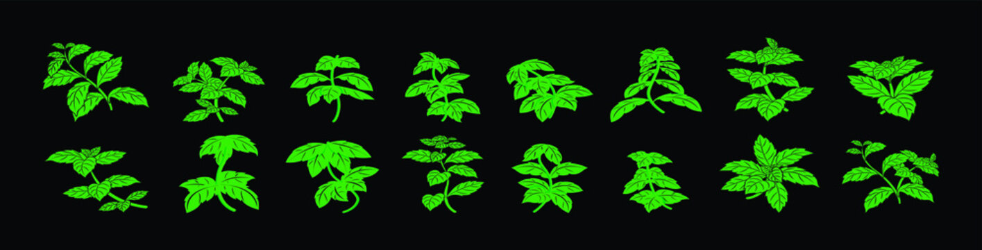 set of stevia cartoon icon design template with various models. vector illustration