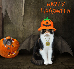 A cat in a witch hat with bat wings is sitting in an old barn. A black rat is inside a pumpkin....