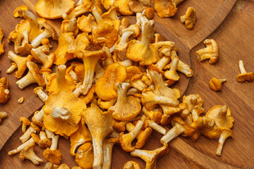 Chanterelle mushrooms on a wooden plate of round shape. Cement background