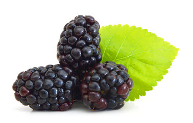 Blackberries isolated on white