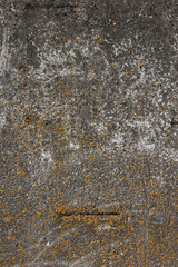The old concrete surface is covered with lichens