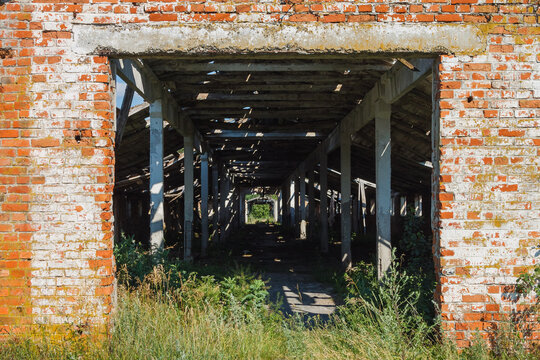 Ruins of an old farm. Entrance to the ruined cowshed