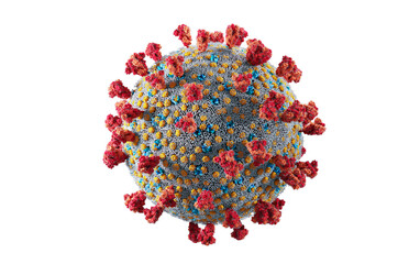 Coronavirus Covid-19. Scientifically accurate illustration of Covid corona virus cell. - obrazy, fototapety, plakaty