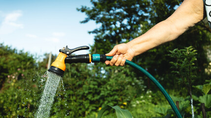 Obraz premium Senior woman watering plants from a garden hose at a suburban summer cottage. Beautiful warm summer evening.
