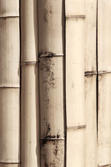 Vintage bamboo wall texture with natural pattern.