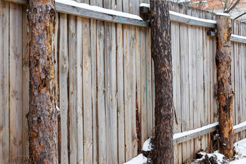 The texture of weathered wooden wall. Aged wooden plank fence of vertical flat boards