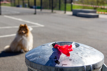 dog sits behind a trash can full of dog droppings