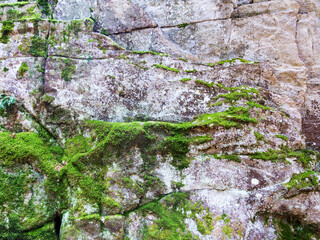 Big mountain rock stones, covered with bright green moss. Photo depicting a bright lichen on an old gray stones. Natural background texture.