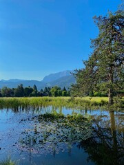 Obraz premium Romantic lake with tree reflection in green landscape, alps, Bavaria, Germany