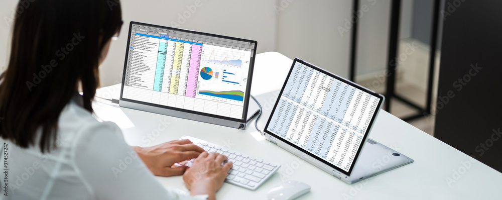 Poster analyst employee working with spreadsheet report