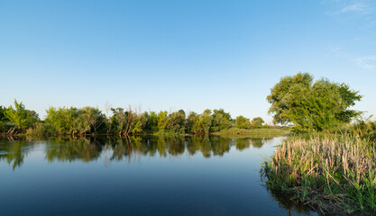 Fototapeta na wymiar Scenery of silent rural lake near green forest.