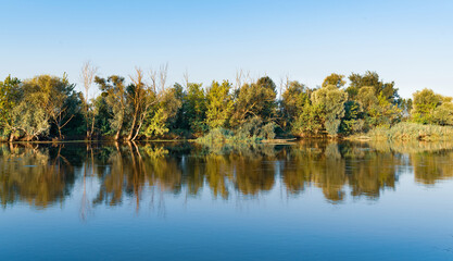 Scenery of silent rural lake near green forest.