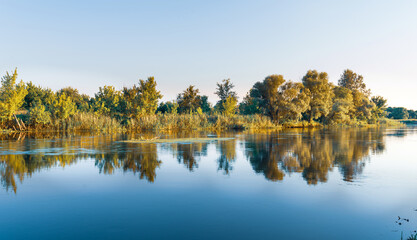 Scenery of silent rural lake near green forest.