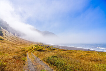 Path, trail in the grass along the ocean, clouds, fog