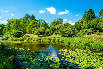 Scenic view of a pond in the Copenhagen Botanical Garden, part of the University of Copenhagen Faculty of Science.