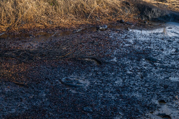 Petroleum pollution in water and nature