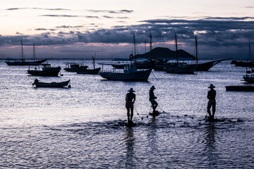 boats in the harbor