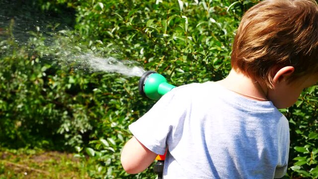 One little boy waters garden plants with a watering spray