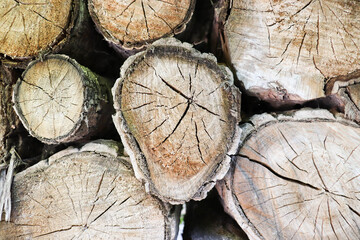 Naklejka premium Pile of wooden logs stacked together on top of each other. Wall of stacked wood logs as background. Stack of firewood close up. Logs cuts prepared for fireplace