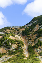 Beautiful authentic rocky landscape of the Pyrenees. Bulgaria. Natural mountain landscape as background.