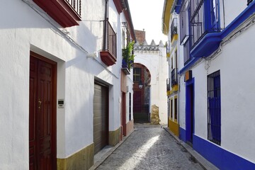 Fototapeta na wymiar Cordoba street view