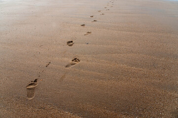 Footprints from left to right on the sand beach by the sea.