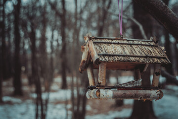 bird feeder in winter forest