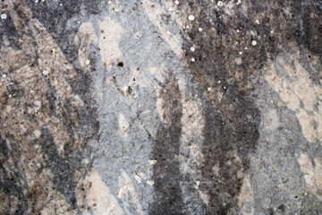 marble texture