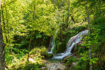 Obraz premium Beautiful mountain waterfall Gostilje in a green forest on natural park Zlatibor, Serbia in Europe on a sunny summer day