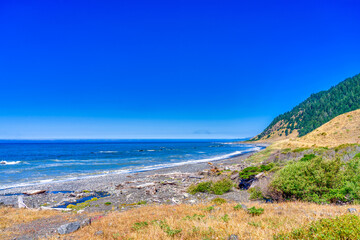 Fototapeta premium View of the Beach, Ocean, coastline, sand, logs
