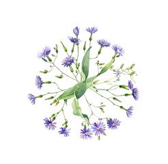 Obraz premium Round watercolor composition of blue wild flowers