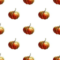 Seamless pattern with pumkins on white background. Hand draw illustration.