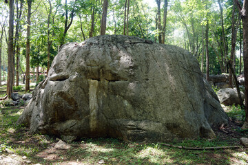 Big Triassic age limestone gray type Biomicrite in the garden.